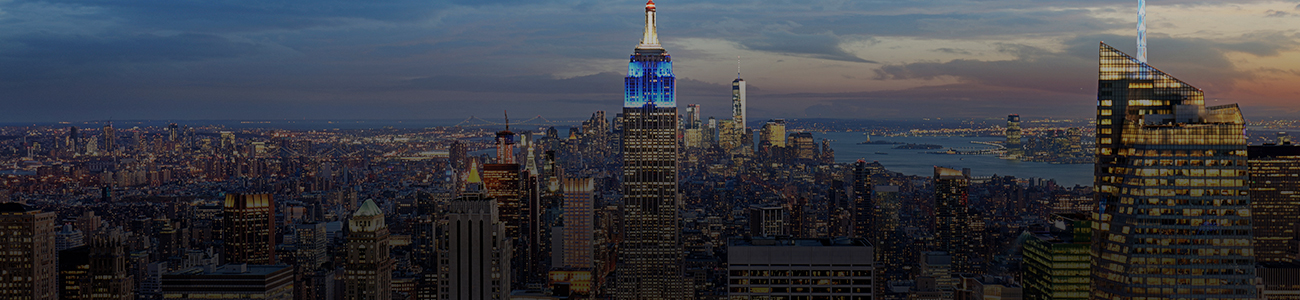 Photograph of New York Skyline